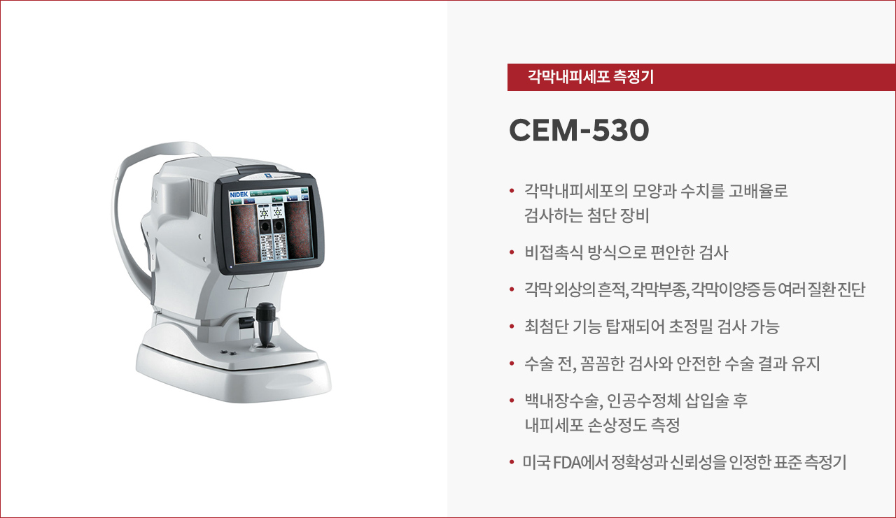 썸네일 큰 사진